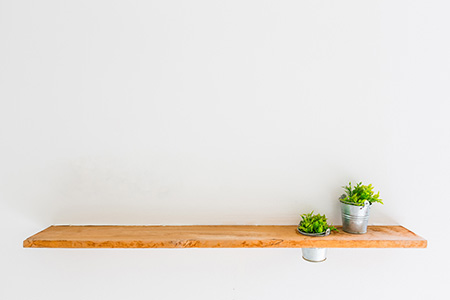 Photo of a book shelf with two small plants on it