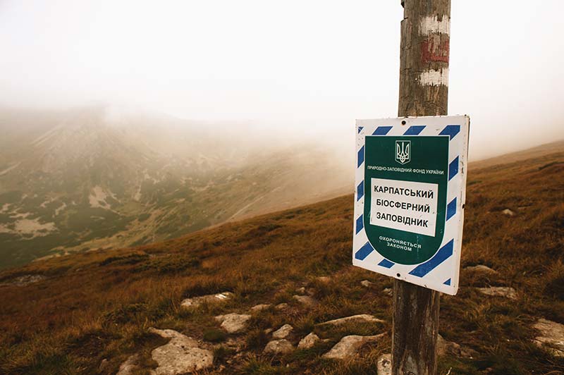 Fog in the Carpathian mountains