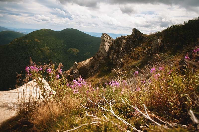 Carpathian mountains